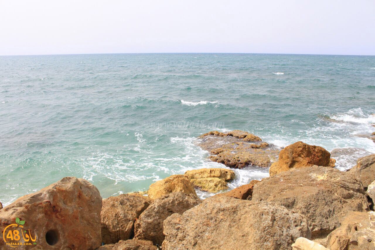 ter3an yaffaj3 (7).jpg